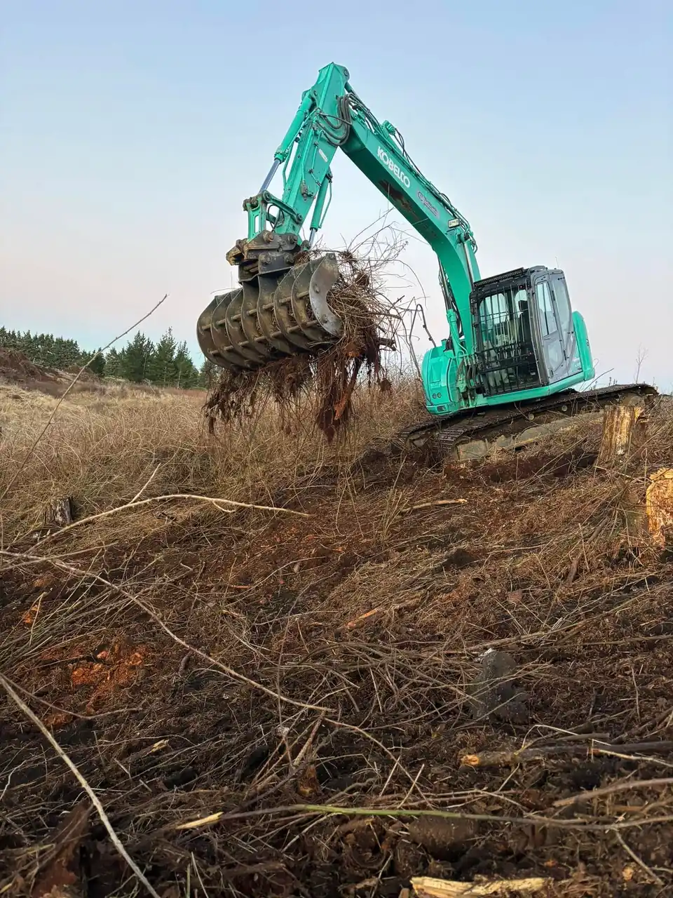 Thrupp Contracting excavator lifting cleared scrub and roots