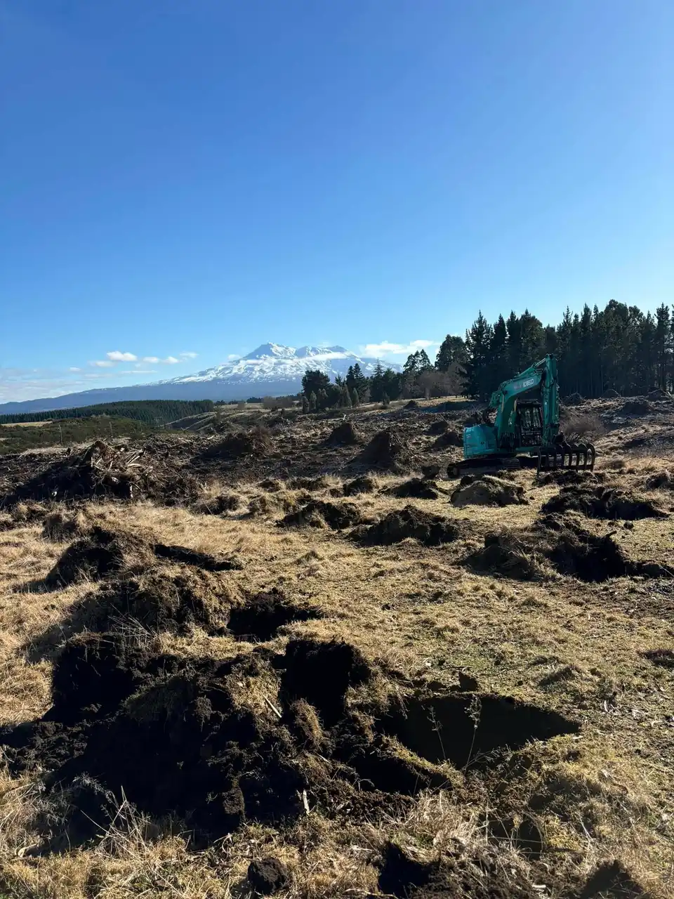 Excavator clearing scrub on open land with the mountain in the distance